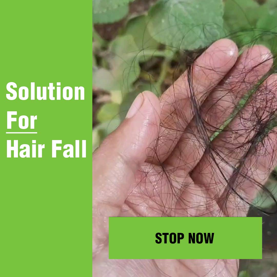 Hair Fall Control And Solution For Hair Fall 1